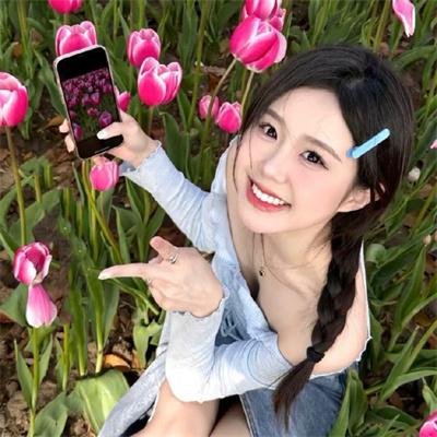 玫瑰公寓2017